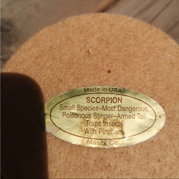 Vintage Real Scorpion Insect Dome 3.5" Paperweight Taxidermy from Maack Co. - Picture 7 of 7